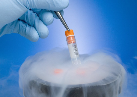 胚胎冷冻三年多少钱（胚胎冷冻三年移植成功率 ）