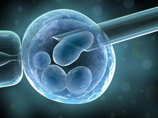 胚胎移植后