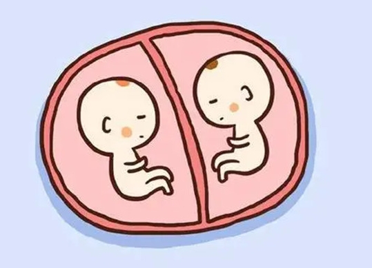 试管婴儿生双胞胎会有什么风险吗？
