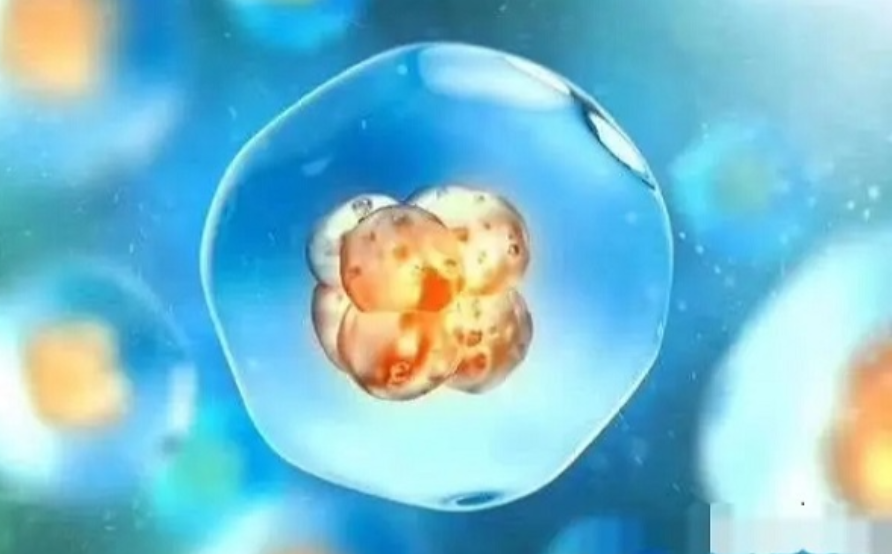 导致试管胚胎养囊失败的原因？了解失败是为了更好的成功！