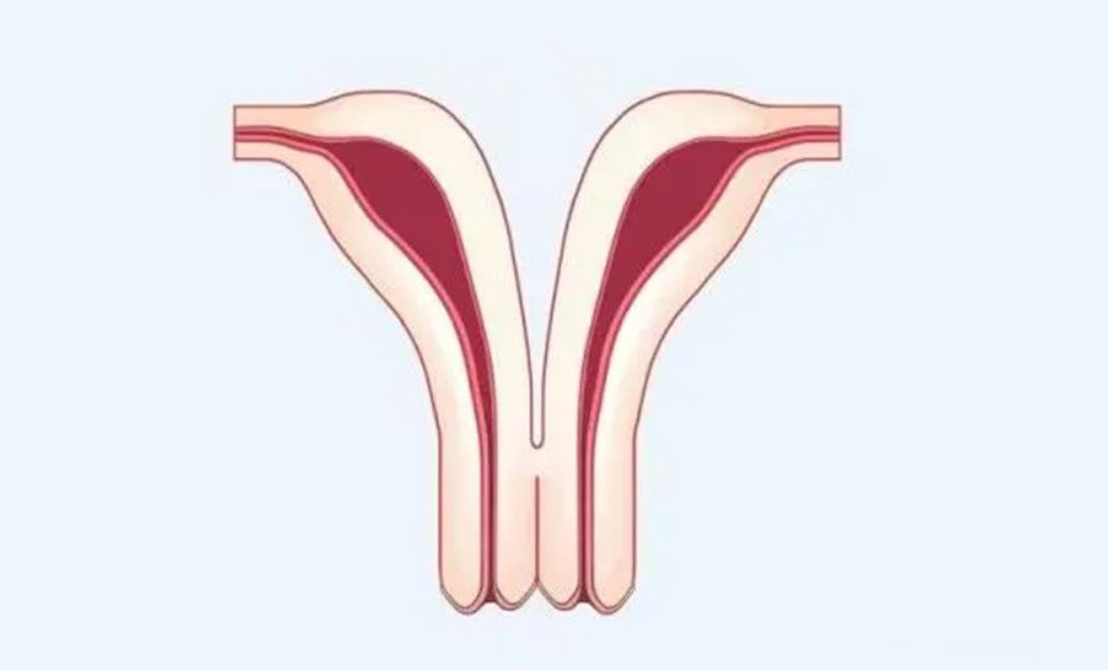 【贝贝壳】备孕期间应该应该保养卵巢