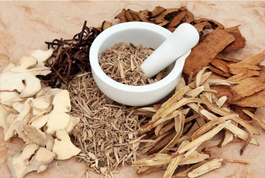 中药对怀孕的影响有多大（如何正确使用中药保障备孕成功）
