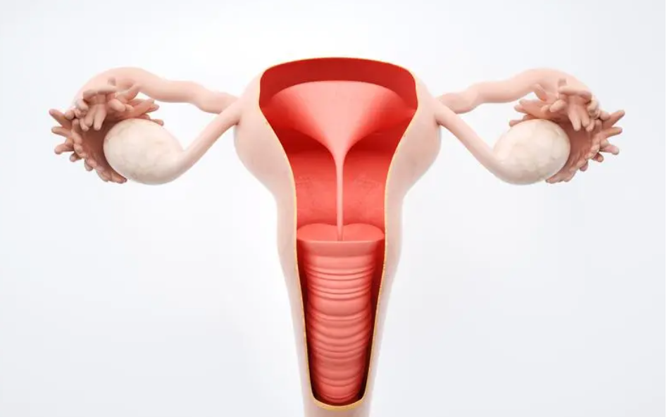 患有卵巢囊肿是否能怀孕？看泰国第三代试管婴儿怎么来助孕？
