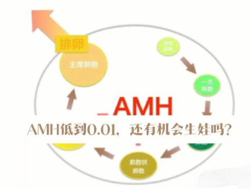 amh检查多少钱（做一个amh检查多少钱）