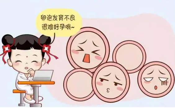 医院怎么检查排卵（医院怎么检查排卵功能是否正常）