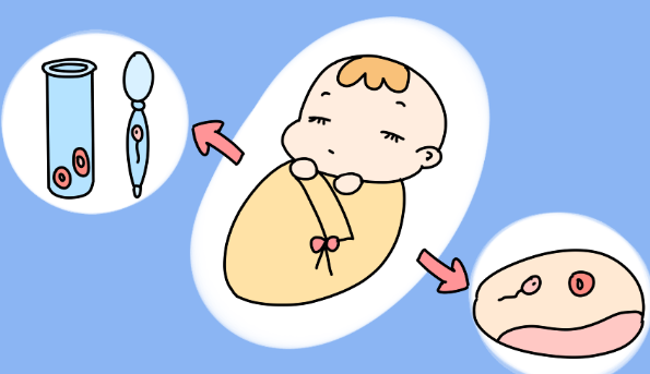 山东可以做试管婴儿医院？山东试管婴儿多少钱