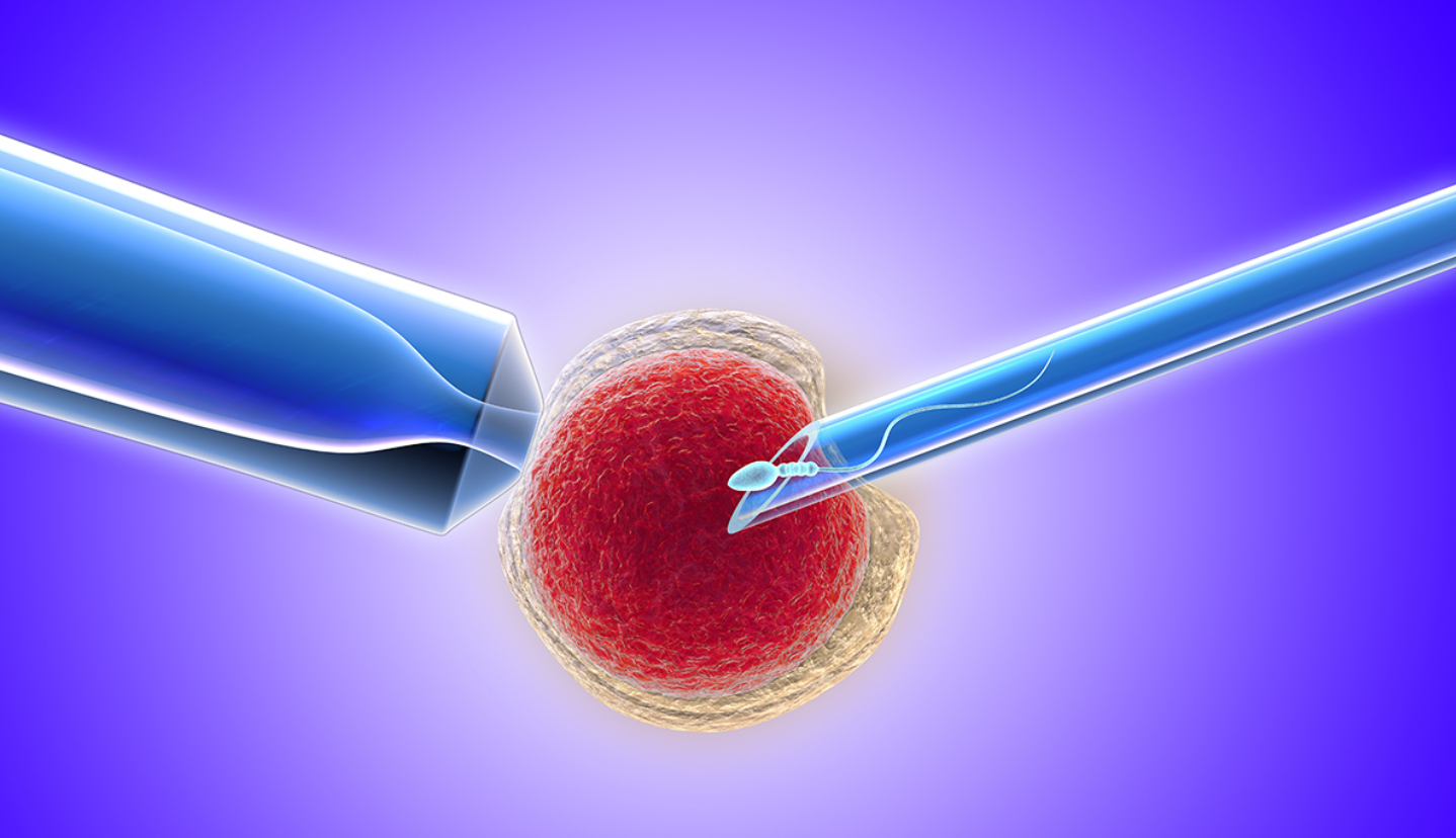 台湾冻卵费用是多少？先了解少踩坑