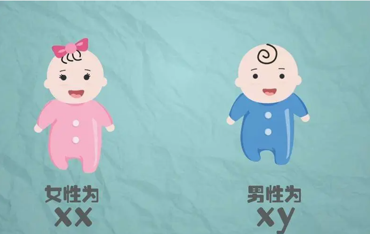 美国哪家公司做试管婴儿好？