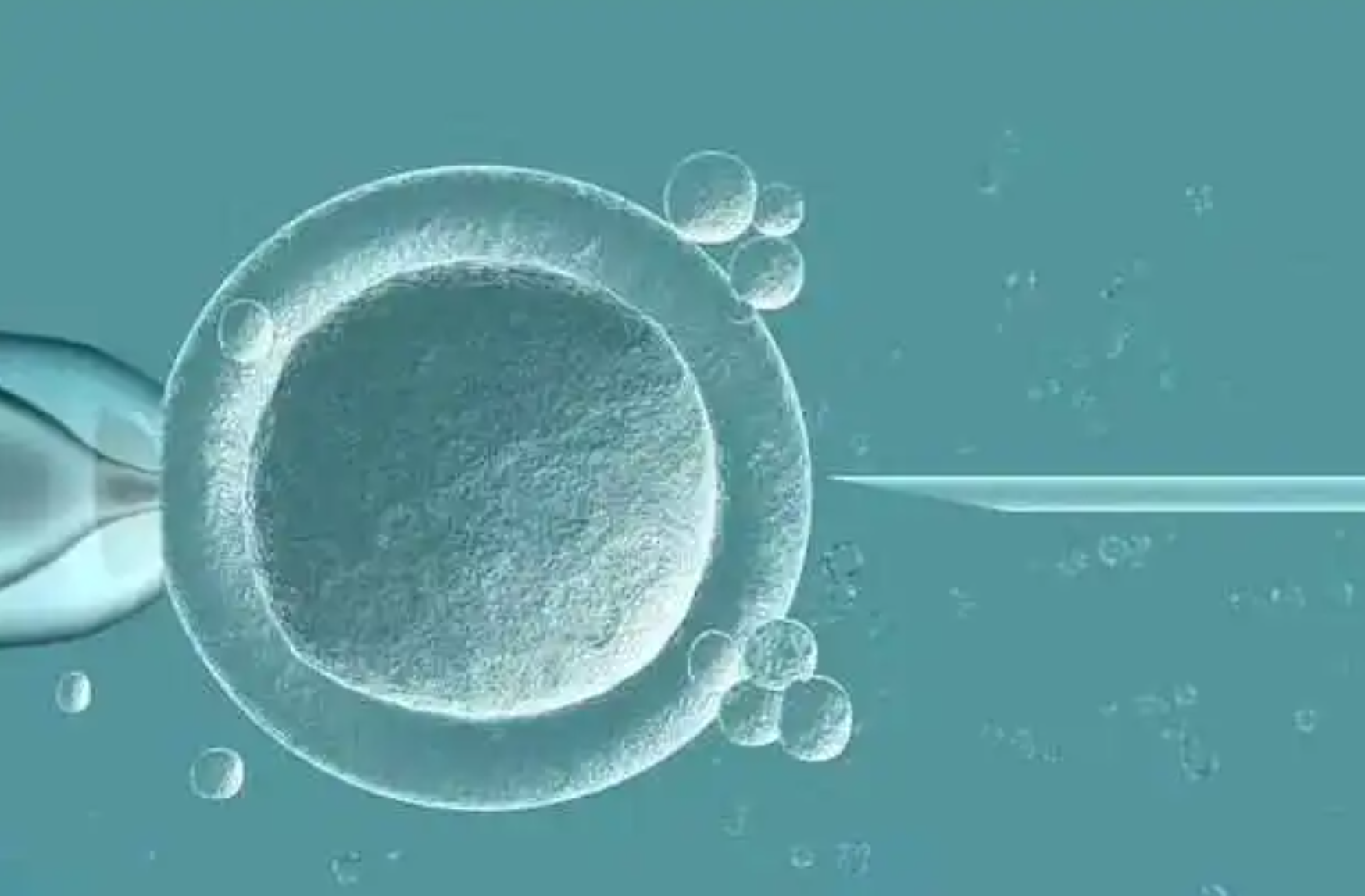 第三代试管是什么（胚胎植入前遗传学诊断）