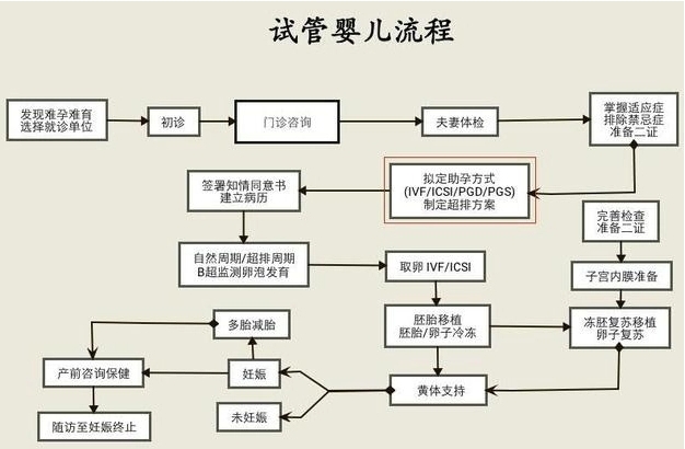 2023做试管婴儿的全部详细流程介绍-精选篇