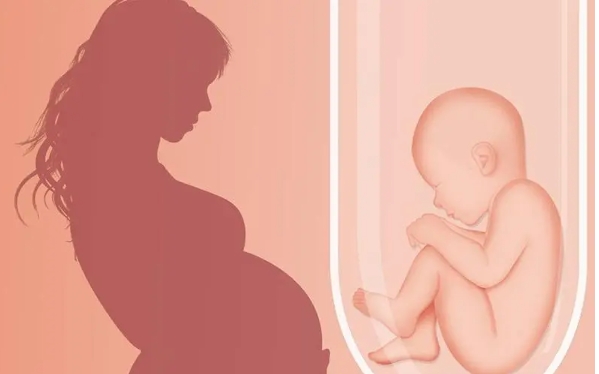 2023试管婴儿移植的术前准备工作和注意事项