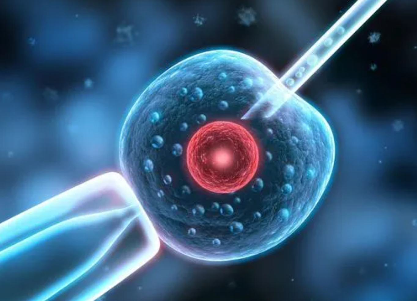 做一次三代试管婴儿需要多长时间