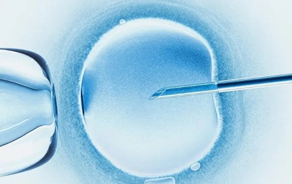 2023河南第三代试管婴儿价格参考（内附详细流程）