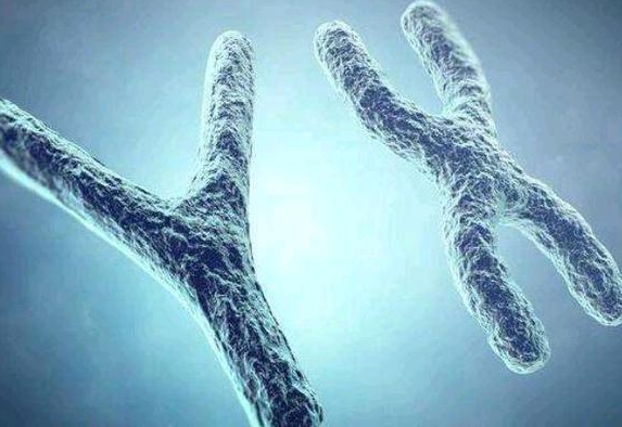 18号染色体异常能做试管婴儿吗？此文让你秒懂该做何选择