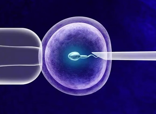 2023人工授孕和试管的价格明细一览，附两种助孕方式适应症指南