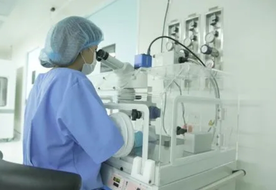 泰国三代试管婴儿（试管婴儿服务中心）