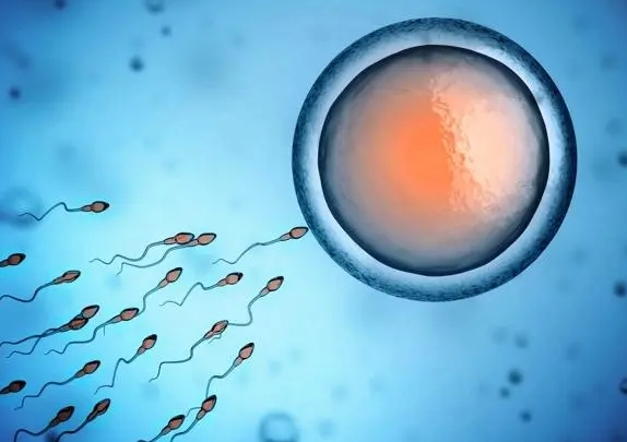 郑州第三代试管包生男孩的价格是多少？附检查费用明细
