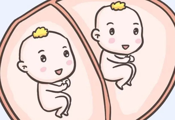 二代试管生男孩的经验总结：这几个小秘密你一定要知道