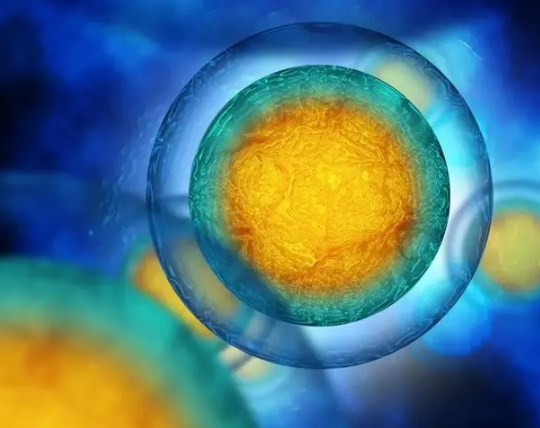2023年选择在泰国做供卵试管婴儿，是否符合法律规定？
