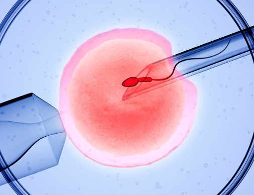 2024女性患有宫腔粘连做试管婴儿能够成功吗？