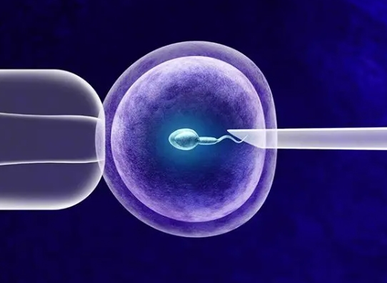 amh0.23做试管仍有希望，三代试管技术助力圆你生育梦