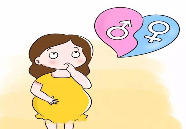 b超男女腿部间的区别图，一文解读原来b超图要这样看！

