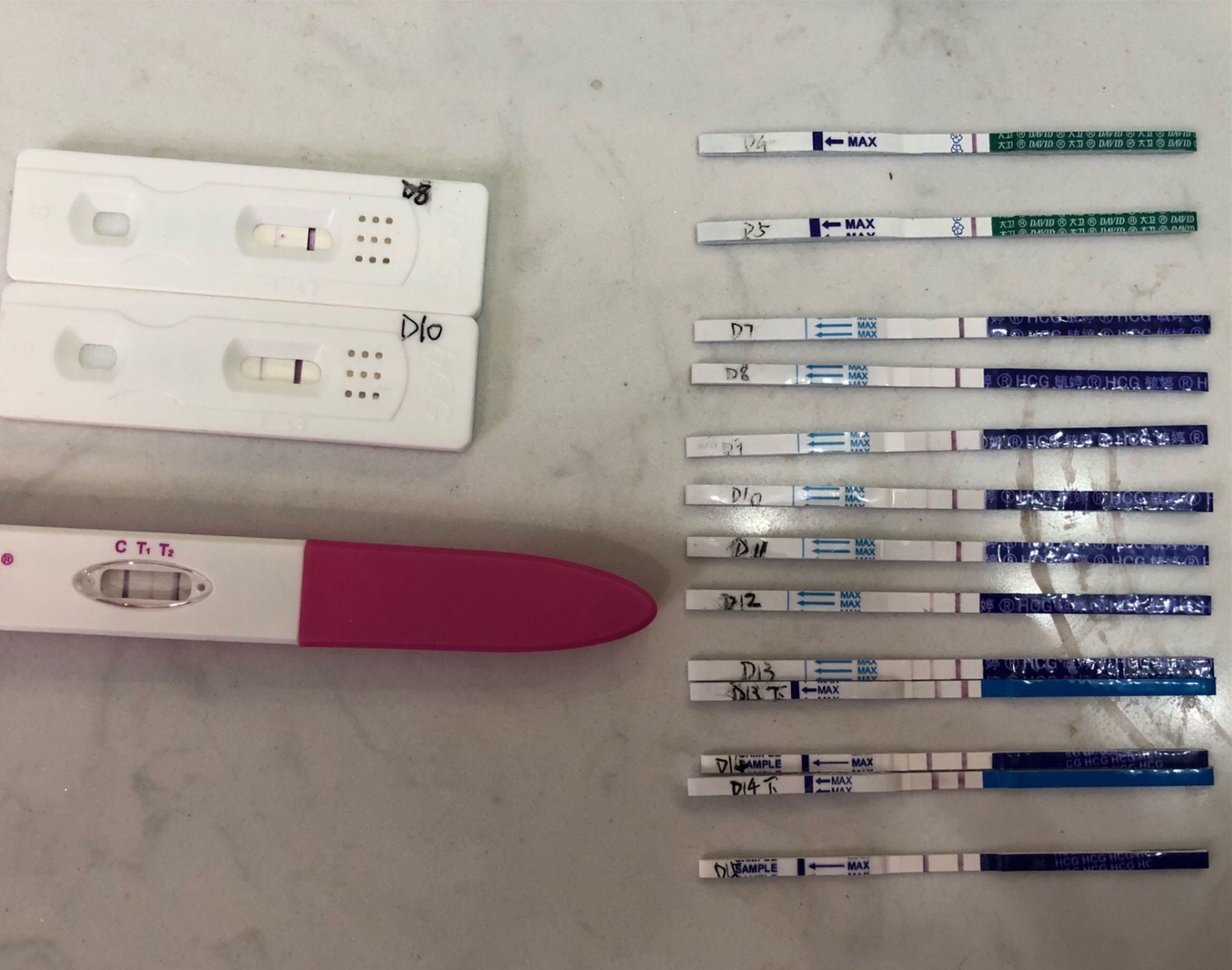 精液疾病,输卵管疾病