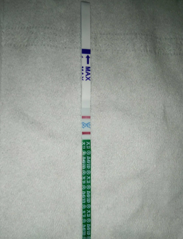 今天是移植后的第14天， 再也不淡定了，5点半爬起来居然大卫早孕卡很快显色，连想象的空间都没给我，很明显的双杠，去医院检查，血值翻倍，医生告诉我，宝宝有了胎心，热泪盈眶形容我当时的心情，终于终于最重要的一步成功了。