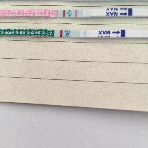 移植的有没有测到，大白板，是不是没希望了。