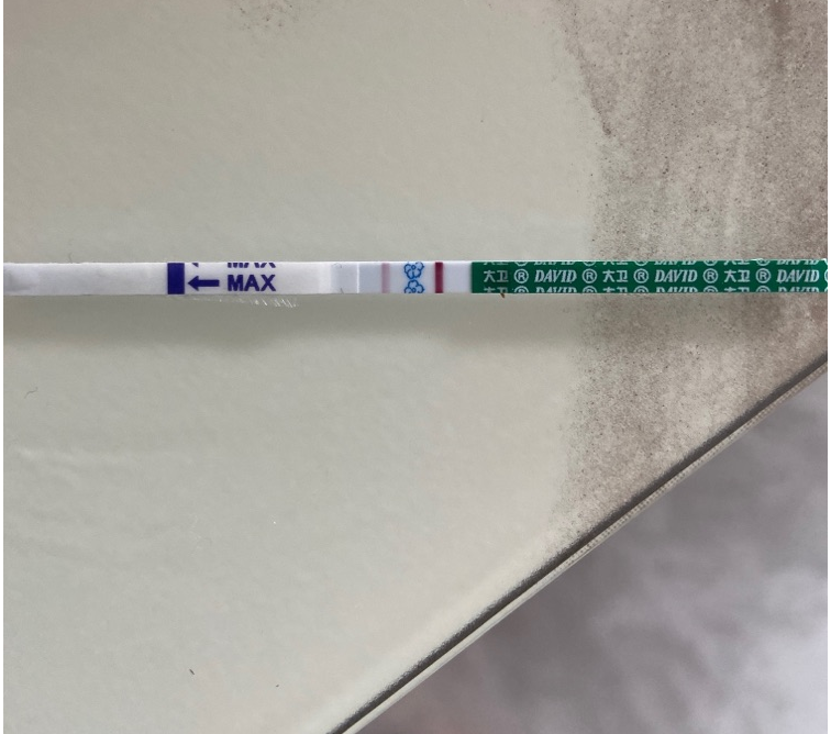 卵巢疾病,子宫疾病