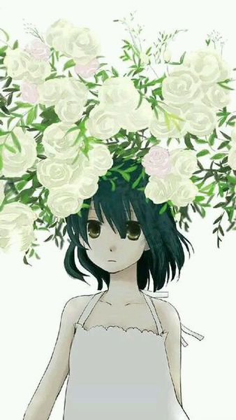 保贝计划保怀版