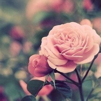 保贝计划保怀版（特定人群）