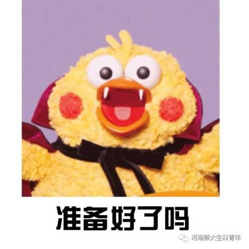 保贝计划保风险版