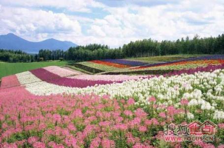 王医生你好，我今天促排第八天，人不舒服反胃没力气，晚饭时吐了，从促排开始状态都不太好，这是打促排针的原因吗？