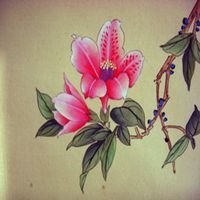 保贝计划保风险版