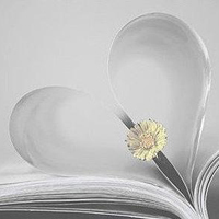 保贝计划保风险版